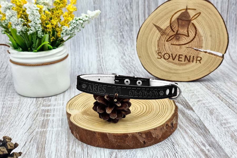 Obroża SKÓRZANA dla psa Grawer GRATIS 10/30cm B1